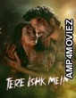 Tere Ishk Mein (2025) Hindi Movie